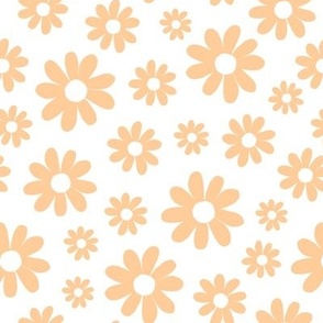 Daisy, florals, daisies, yellow flowers 