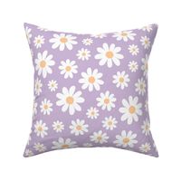 ( large ) daisy, florals, daisies, lilac, purple 