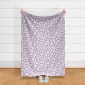 ( large ) daisy, florals, daisies, lilac, purple 