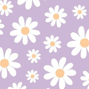 ( large ) daisy, florals, daisies, lilac, purple 