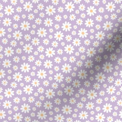 ( small ) Daisy, florals, daisies, lilac, purple 