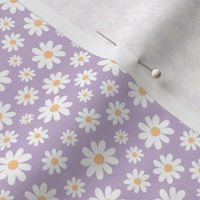 ( small ) Daisy, florals, daisies, lilac, purple 