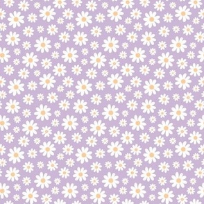 ( small ) Daisy, florals, daisies, lilac, purple 