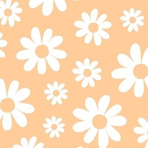 ( large ) daisy, florals, daisies, orange 