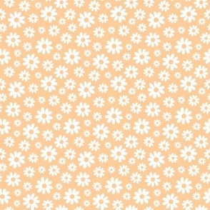 ( small ) Daisy, florals, daisies, orange