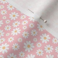 ( small ) Daisy, florals, daisies, pink