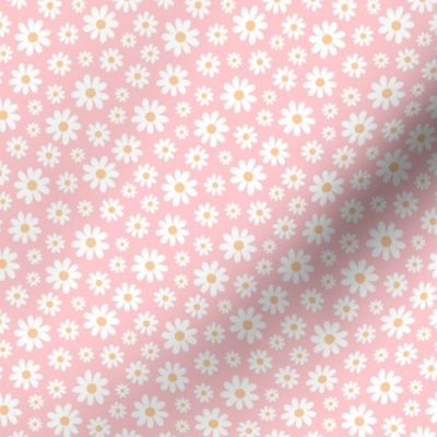 ( small ) Daisy, florals, daisies, pink