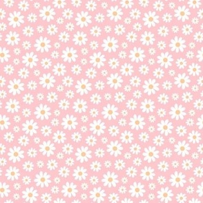 ( small ) Daisy, florals, daisies, pink