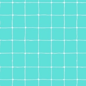 tennis net white on aqua small