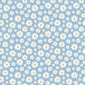( small ) Daisy, florals, daisies, blue, white
