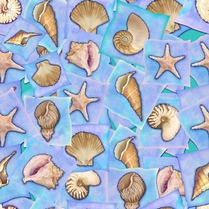 Seashell Tossed Patches