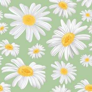 daisy flowers dancing-green background