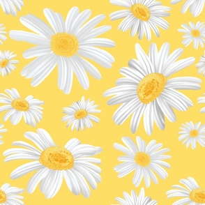 daisy flowers dancing-yellow background
