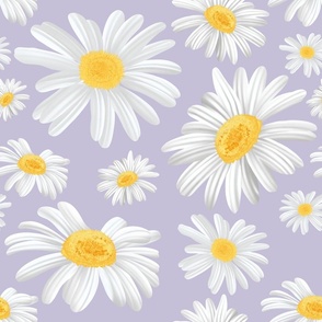 daisy flowers dancing-purple background