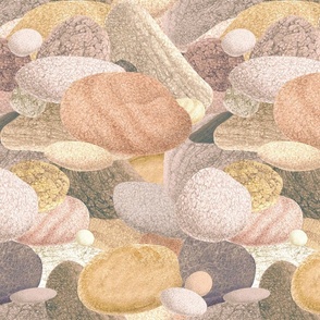 Minimalist warm River Pebbles 50