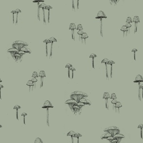 Large Scale Hand Drawn Pencil Mushrooms Spaced Out on Desert Sage Green