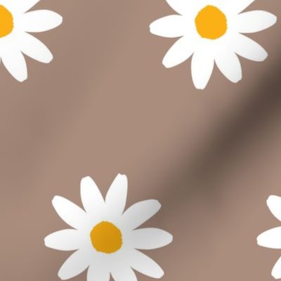 300dpi-daisies-brown2