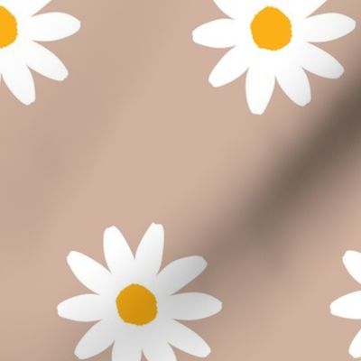300dpi-daisies-soft pink