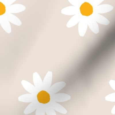 300dpi-daisies-white