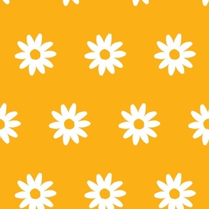 300dpi-daisies-yellow