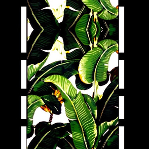banana leaf  borderline
