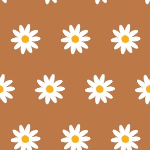 300dpi-daisies-brown