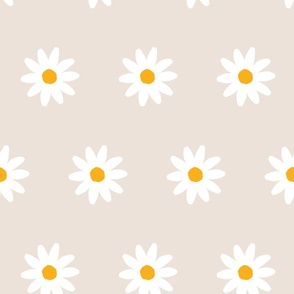 300dpi-daisies-white