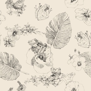 Large Playful Pencil Hand Drawn Frogs on Spring Flowers and Leaves with Bugs on Cream Pristine