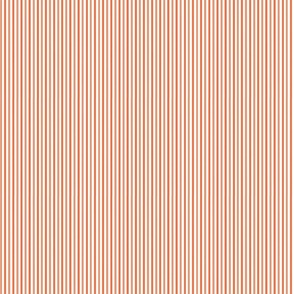 Shades of Coral Stripe 6x6
