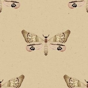 6" vintage broth moth / beige / watercolor