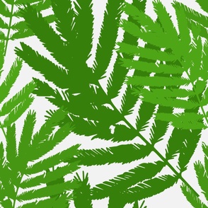 Tropical Fern Leaf - Jumbo Plant Nature - Green Monochrome 