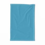 Frogs Leap Year LIGHT BLUE SOLID