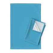 Frogs Leap Year LIGHT BLUE SOLID