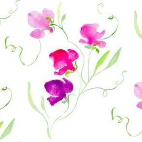 Pink sweet pea in loose watercolor from Anines Atelier.  Grandmillennial style