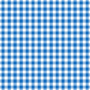  Blue Abstract Gingham Check Square Grid Coordinate