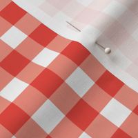 Red Abstract Gingham Check Square Grid