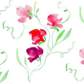 Red sweet pea in loose watercolor from Anines Atelier.  Grandmillennial style