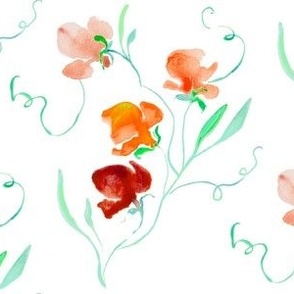 Orange sweet pea in loose watercolor from Anines Atelier.  Grandmillennial style