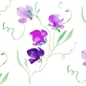 Purple sweet pea in loose watercolor from Anines Atelier.  Grandmillennial style