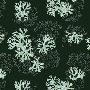 Lichen handdrawn Background # 152518