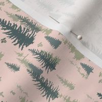 evergreen forest blush