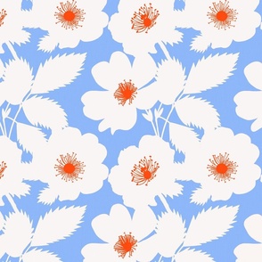Big White Prairie Rose Flowers On Sky Blue With Red Accents Iowa State Flower Silhouette Independence Day Fourth Of July 4th Flag Colors Retro Modern Floral Pattern