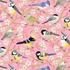 M / Tit Birds Species Pink Spring Cherry Blossom