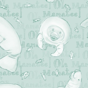 Oh Manatee! Whimsical Manatee and Fish | Hand-Drawn Colored Pencil Design in Paris White Green
