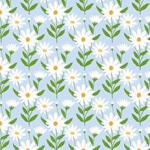 White daisy bunch on sky blue - small