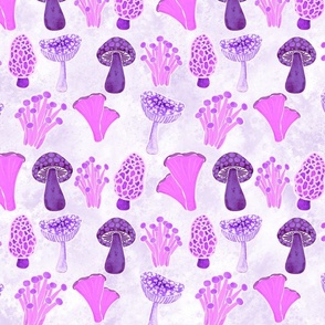 Mono Mushrooms Purple