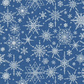 Snowflakes midst the blizzard