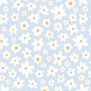Spring white, yellow daisy on ice blue