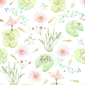 Frog Pond Evolution Watercolour Frogs, Tadpoles and Lilies in White