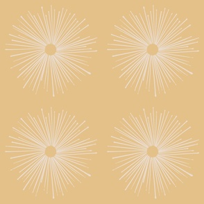 Warm Minimalism Starburst in 'Stone' on 'Sand'